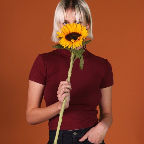 Birds of North America Avocet mock neck tee - Picture 2 of 7